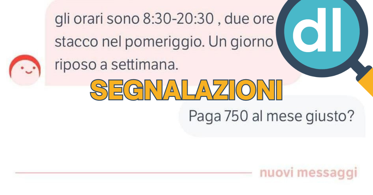 segnalazioni lavoro